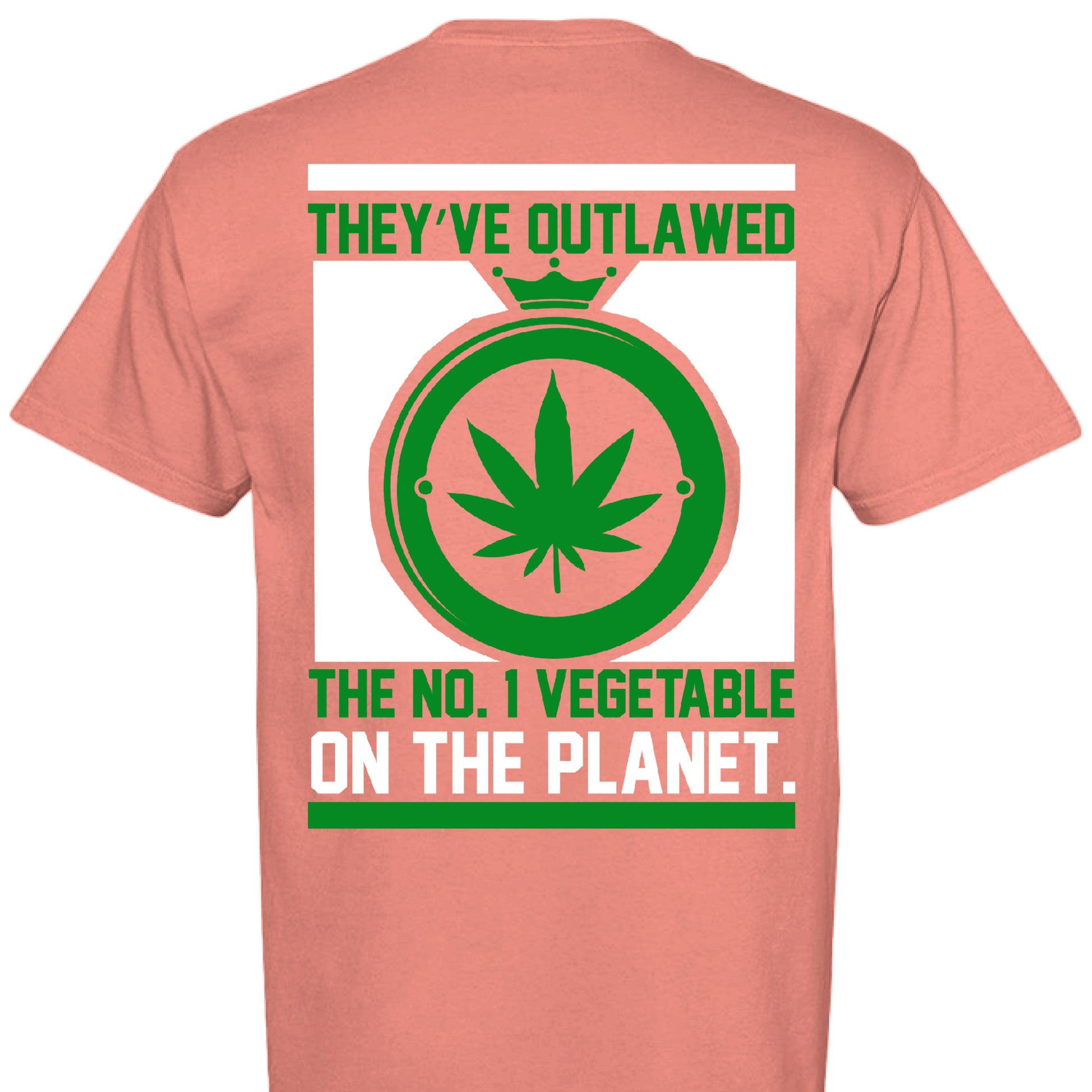 BRIGHT SALMON - BACK